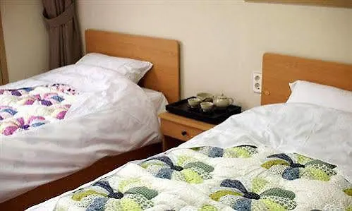 Ss Guesthouse Soul